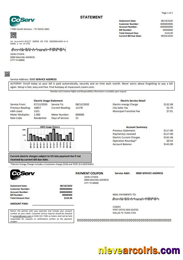 USA Texas CoServ utility bill